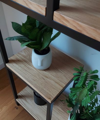 Blumenständer, Regal, Bibliothek, Schrank aus Holz, Sideboard, Lowboard, holz Möbel, Möbel vollholz, Möbel holz massiv, Möbel Massivholz, Holzmöbel, Möbel aus Holz, Möbel echtholz, Möbel aus Holz, luxus Möbel, moderne Möbel, designermöbel, design möbel online shop, edle Möbel, Exklusive Möbel, Skandinavisch, Massmöbel, Industrial, Loft, Holz, massiv Holz, Eichenholz, Holzplatte, Exklusive Möbel, Massivholz, Echtholz, Echtholzmöbel, Mid-Century, Kommode, Kommode aus Holz, skandinavisch Design, Kommode aus Eiche