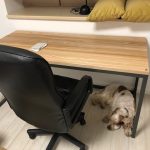 holz Möbel, Möbel vollholz, Möbel holz massiv, Möbel Massivholz, Holzmöbel, Möbel aus Holz, Möbel echtholz, Möbel aus Holz, luxus Möbel, moderne Möbel, designermöbel, design möbel online shop, edle Möbel, Exklusive Möbel, Skandinavisch, Massmöbel, Industrial, Loft, Holz, massiv Holz, Eichenholz, Holzplatte, Exklusive Möbel, Waschtisch, Massivholz, Echtholz, Echtholzmöbel